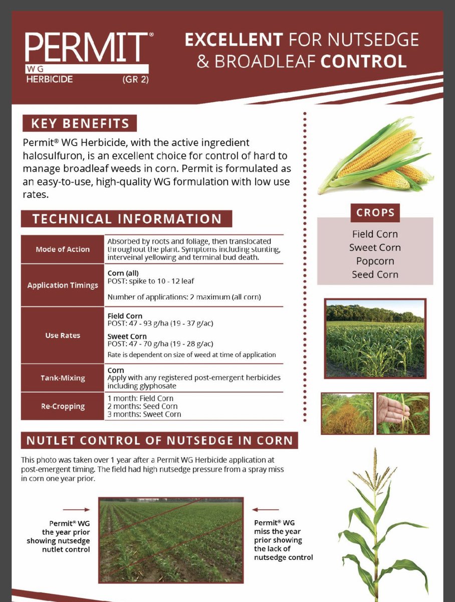 Permit herbicide can be applied to corn up to the 12 leaf stage #gowancanada #corn