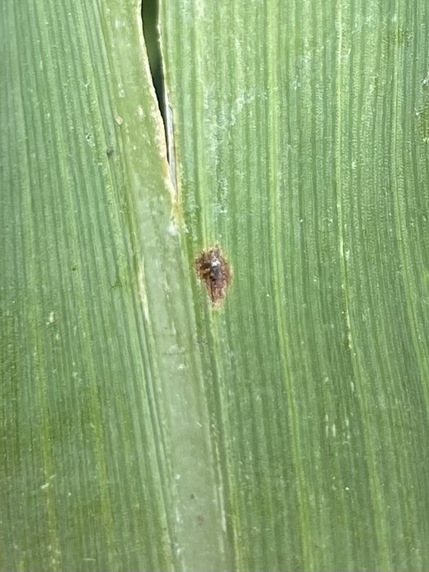 Matthew Vandehaar tweet media