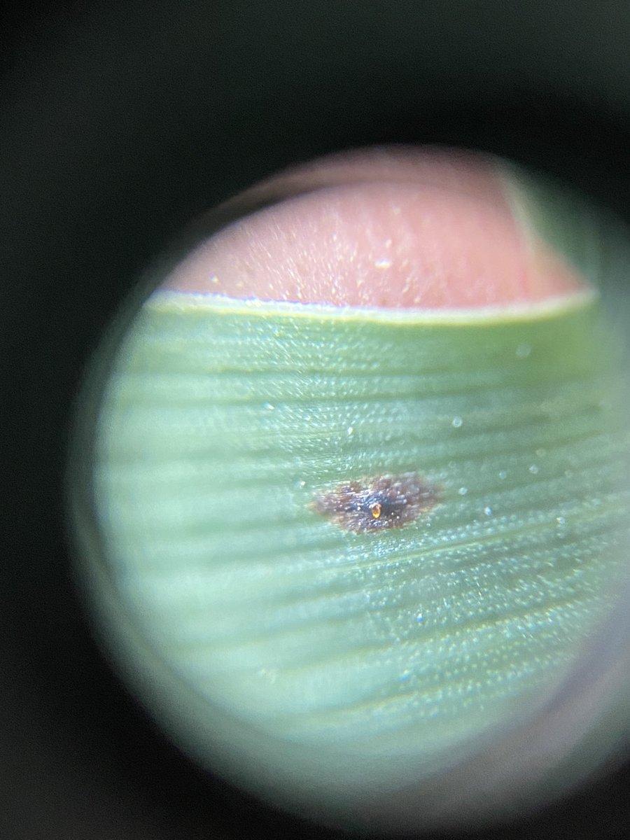 Matthew Vandehaar tweet media