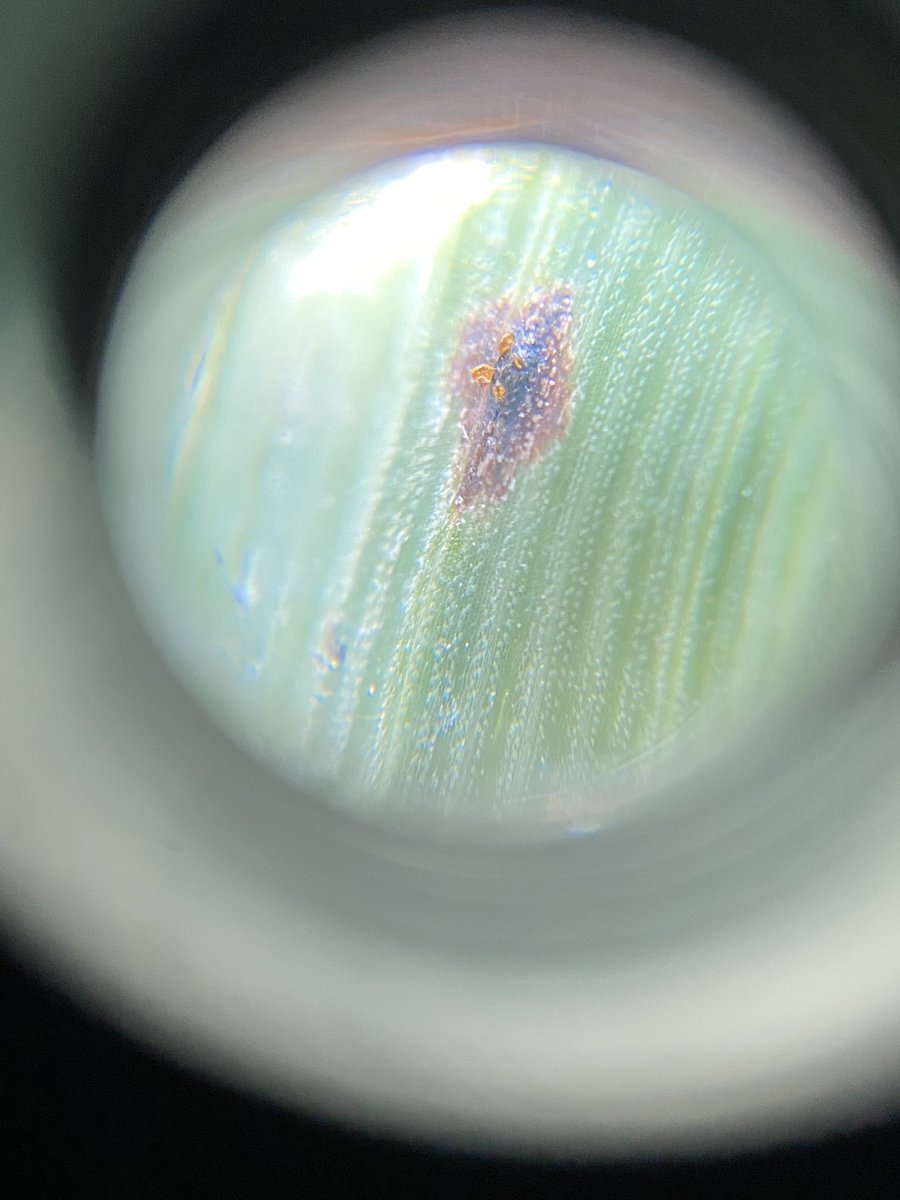 Matthew Vandehaar tweet media