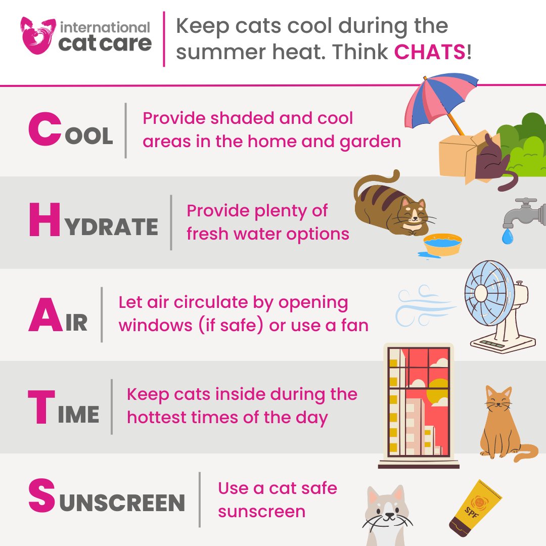 It's getting hot! ☀️ Think CHATS to keep cats safe in the #summer heat 👇 
 
Cool and shaded ⛱️ 
Hydrate with water💧 
Air circulating 🪟💨 
Time inside during peak temperatures 🌡️ 
Sunscreen (cat safe) 🧴 
 
How do you keep your cat safe in hot #weather? 😸