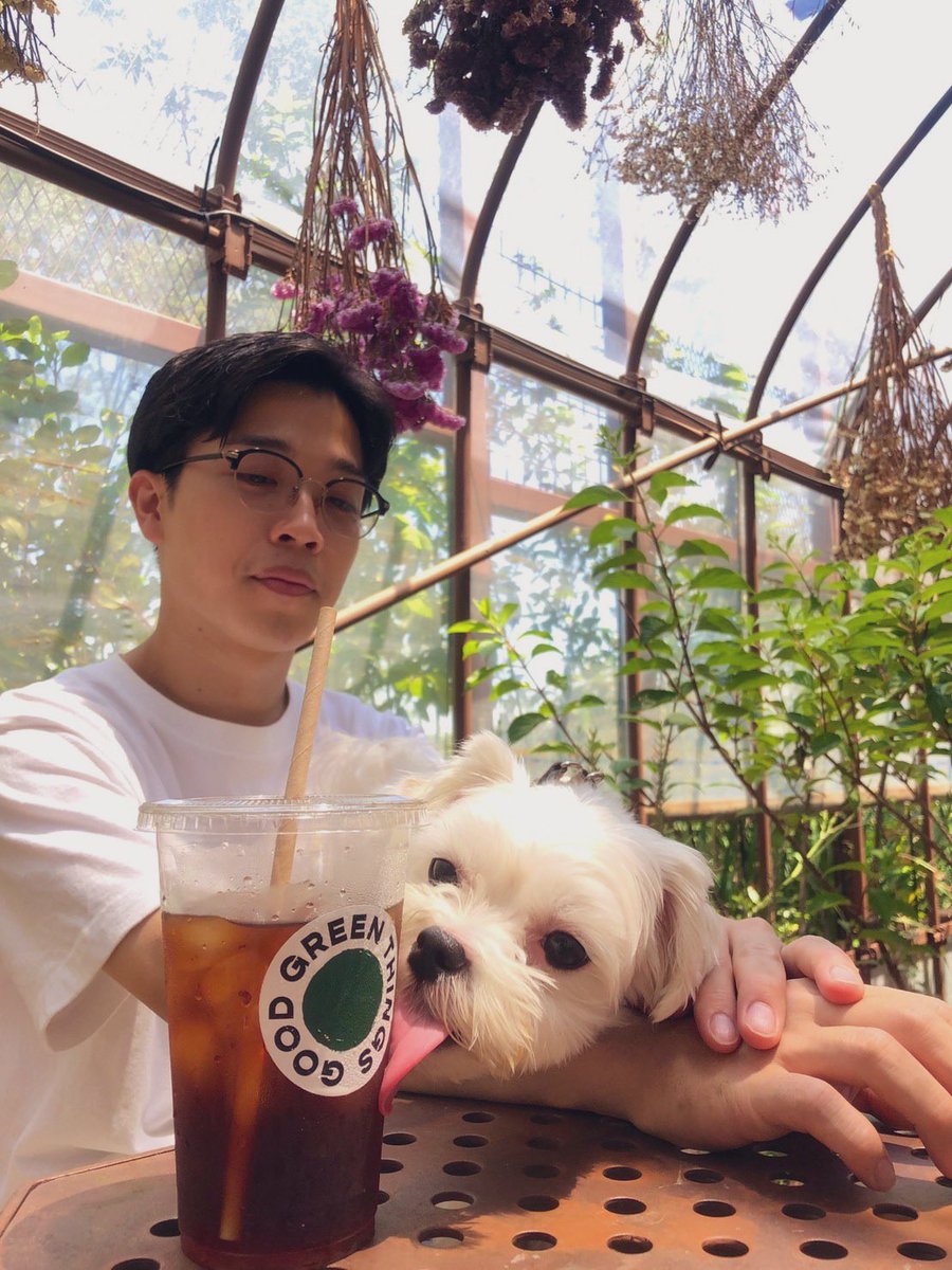 ｼｭﾝﾍﾟｲ tweet media