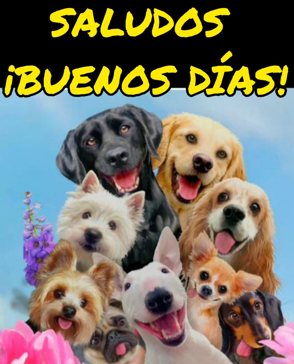 @RiderArrio16415
#FelizViernesATodos 
yami2336 @yami2336 
@guillvirfuent1 
@yami2336 @Yaneth050025741 @RiderArrio16415 @Alondra82590574 @Desib73 
@Mippcivzla @VTVcanal8 @PartidoPSUV @Neyda21708001 @neydaf1 @kdnsperes11 @KrlosN007 @1412Yolis @Krisbelihernan1 @_Karenpnt