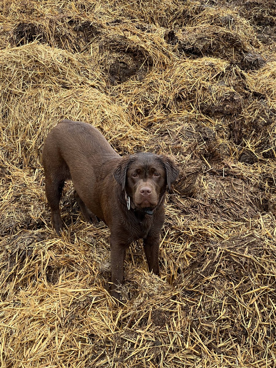 Butler Landscapes tweet media