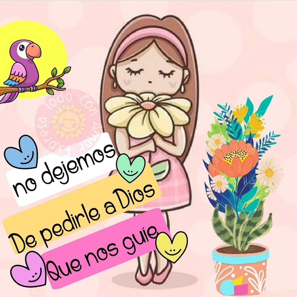 Hoy ..⤵️❤️⤵️❤️