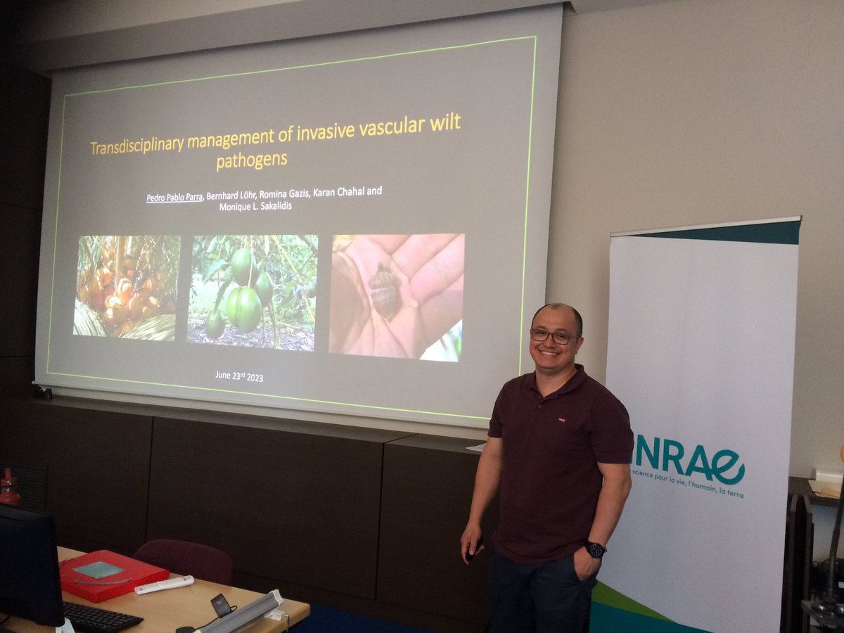 Today's seminar: Pedro Pablo Parra @ppparra5888 (@EURL_fungi) on his previous work as postdoc with @MLSakalidis at @MSU_PSM on 'Transdisciplinary approaches to managing vascular wilts with a focus on #OakWilt'