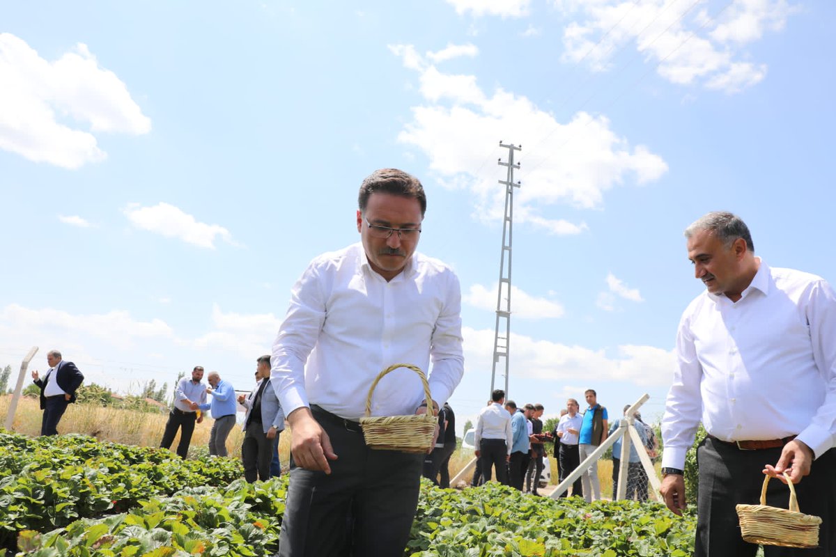 kayserivaliligi's tweet photo. Valimiz Sayın Gökmen Çiçek, Develi Ziyaretleri kapsamında, Vali Yardımcılarımız Şenol Esmer ve Abdullah Kalkan, Kaymakam Enes Emircan Buyuran ve Belediye Başkanı Mehmet Cabbar ile birlikte Sarıca Mahallesinde bulunan çilek bahçesini ziyaret etti. https://t.co/mwxsHCkRLh