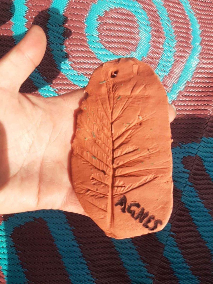 Birrigai Outdoor School tweet media