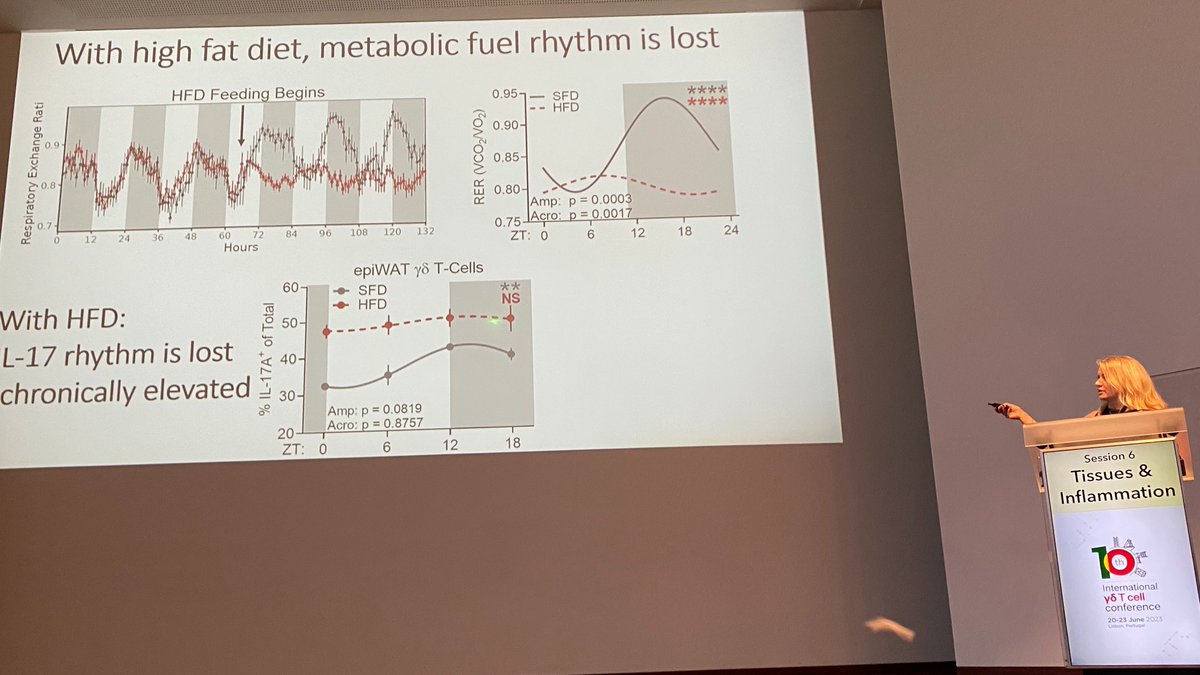 Wow, amazing talk on the ancient, conserved roles of IL-17 by @lynchielydia. Hint at big pic of diurnal rhythm, thermoregltn, diet, neural function and immunity. 🤯🌍

Reminder for us immuno-oncs to zoom out in our thinking now and again. Brilliant conclusion to Lisbon #gd2023