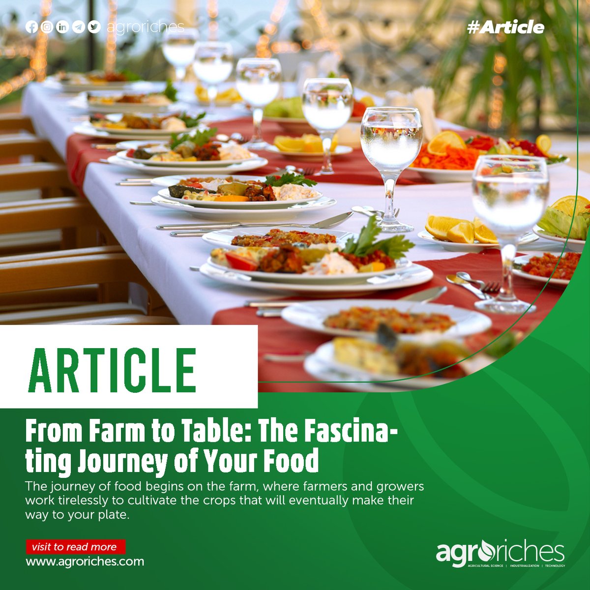 The journey your foods go through.
Visit our website, agroriches.com to read more.

#agroriches #agriculturaltrends #agriculturenews #african #women #agricultureinghana #ghana #articles #farming #growth #food #agriculture #technology