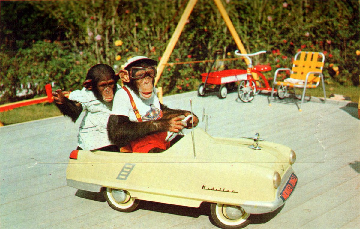 joy_ride_monkey_jungle_miami_fl_4905843140_o