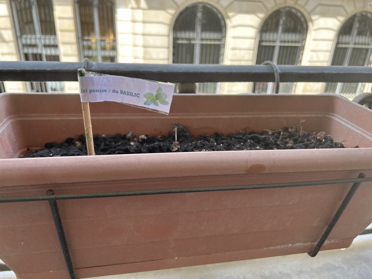 Quand j’ai dit à mes parents que je me lançais dans le notariat, ils étaient pleins d’ambition pour moi. 
1 an plus tard je me retrouve à faire pousser les plantes de l’étude…