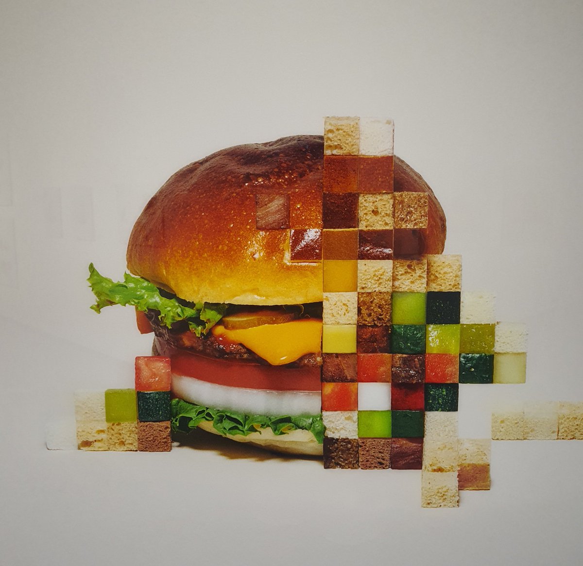 티벳여우 tweet media