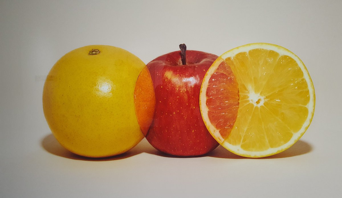 티벳여우 tweet media