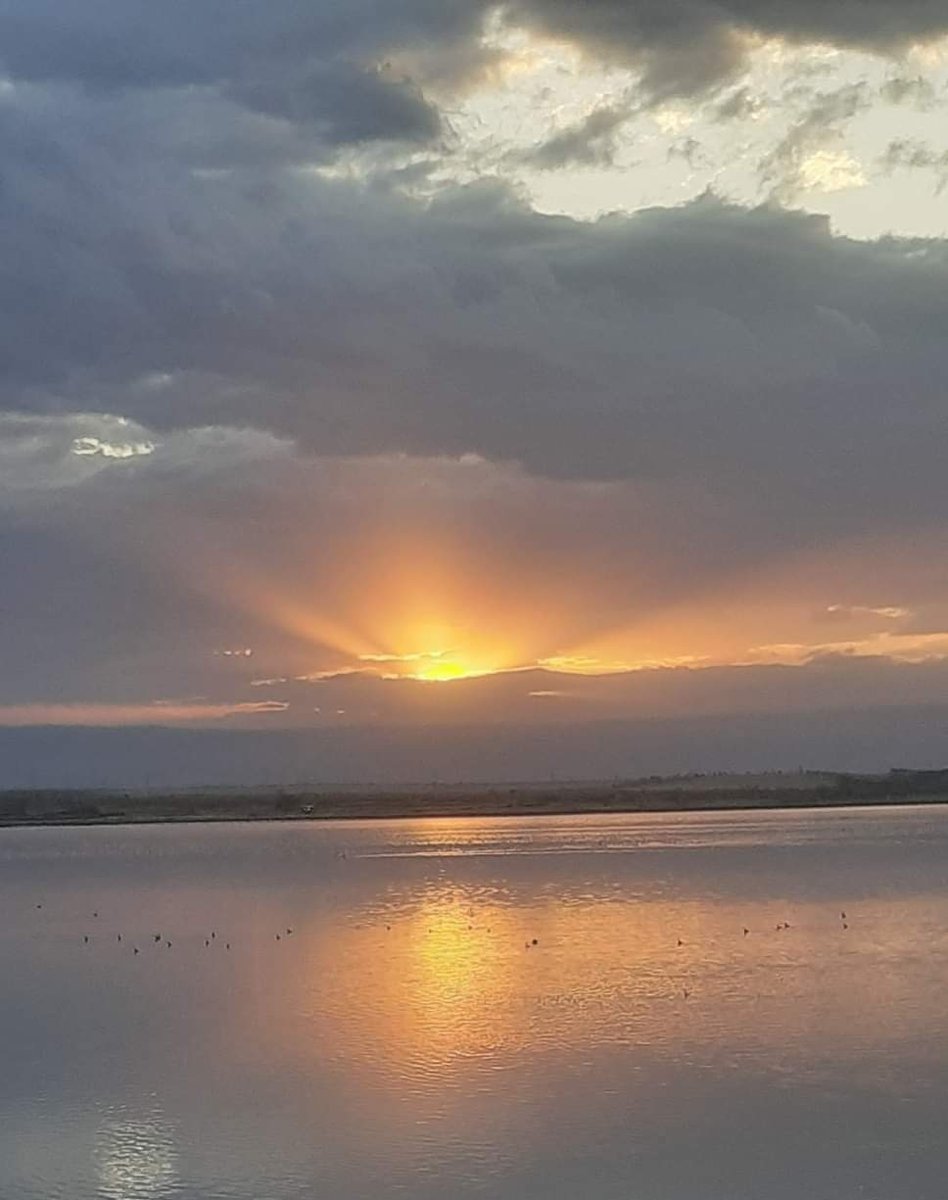 Explore the untamed beauty of Lake Elementaita Wildlife Sanctuary this WRC Safari Rally weekend for an unforgettable camping escapade.

Wake up to a magical sunrise and birds chirping as you catch some thrilling rally action. 
#ZuruKenyaParks