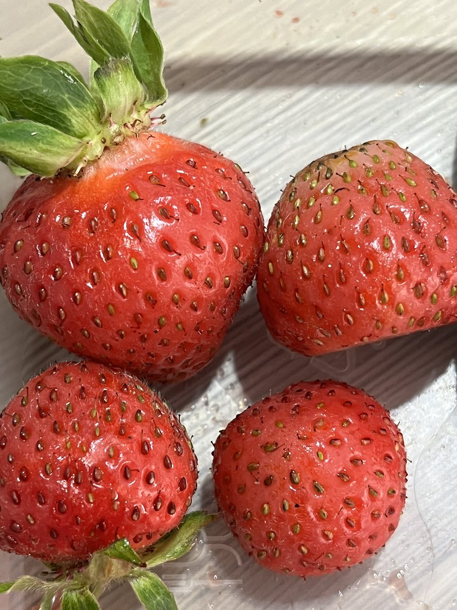 MrsH HLTA@DPS tweet media