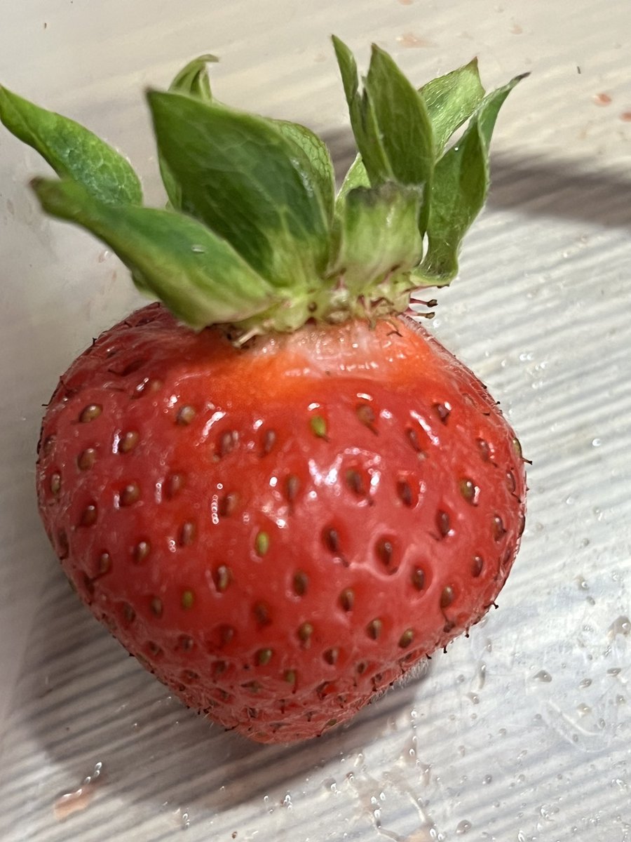 MrsH HLTA@DPS tweet media