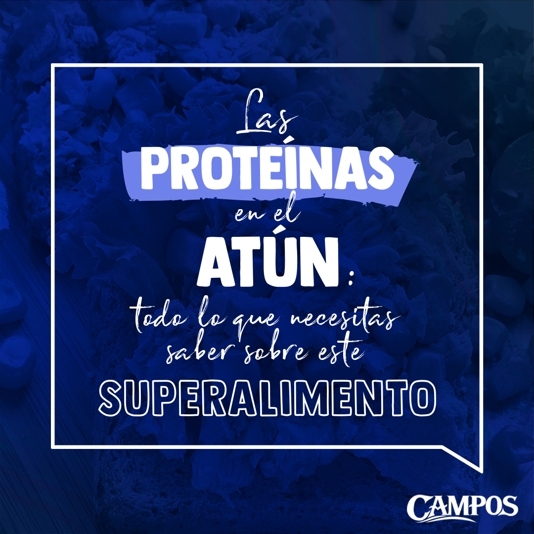 ¿Sabías que el atún es uno de los alimentos con un mayor contenido de proteínas de alto valor biológico? 🤔 
🔍 Te explicamos todos los detalles en nuestra web: clubcampos.com/clubcampos/pro…

#nivelproteico #atun #comidasaludable #lifestyle #pescadoazul #conservas #conservasatun
