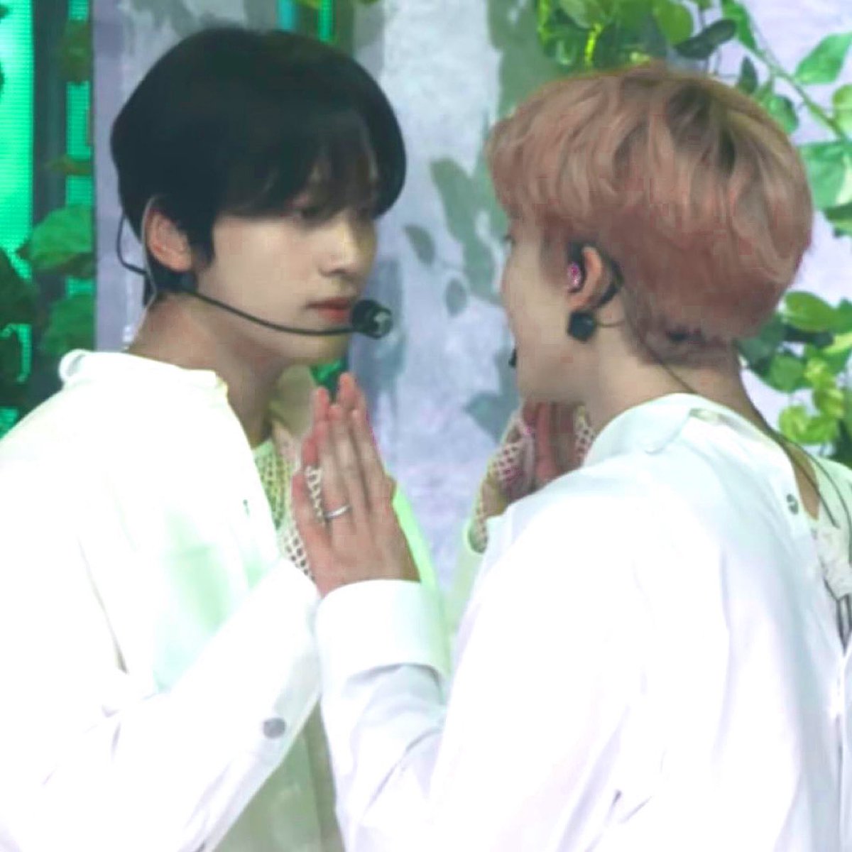 마까 on Twitter: 