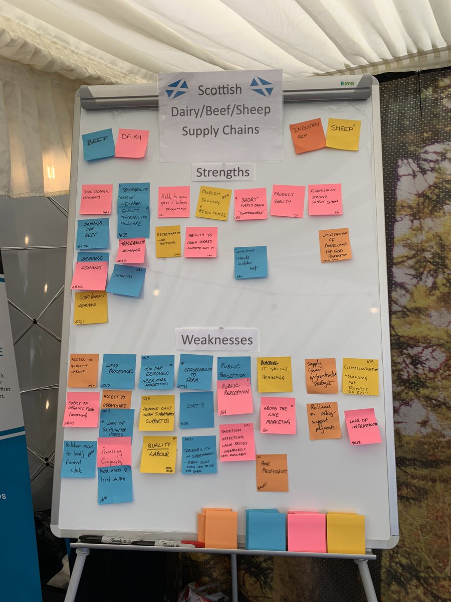 hjferg's tweet photo. We are lacking in strengths, come along to the @SRUC  stand and tell us what’s good about your ruminant supply chain! https://t.co/MnE8ksl9OF