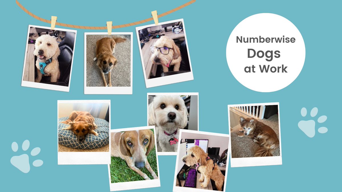 It's National Take Your Dog To Work Day!

Thankfully, as a remote-first company, Numberwise employees can work with their dogs every day.  🐶❤️

#TakeYourDogToWorkDay #dogsatwork #dogsoftwitter #doglove #puppylove #remotework #remoteworker #remotefirst #remotecompany #bookkeeper