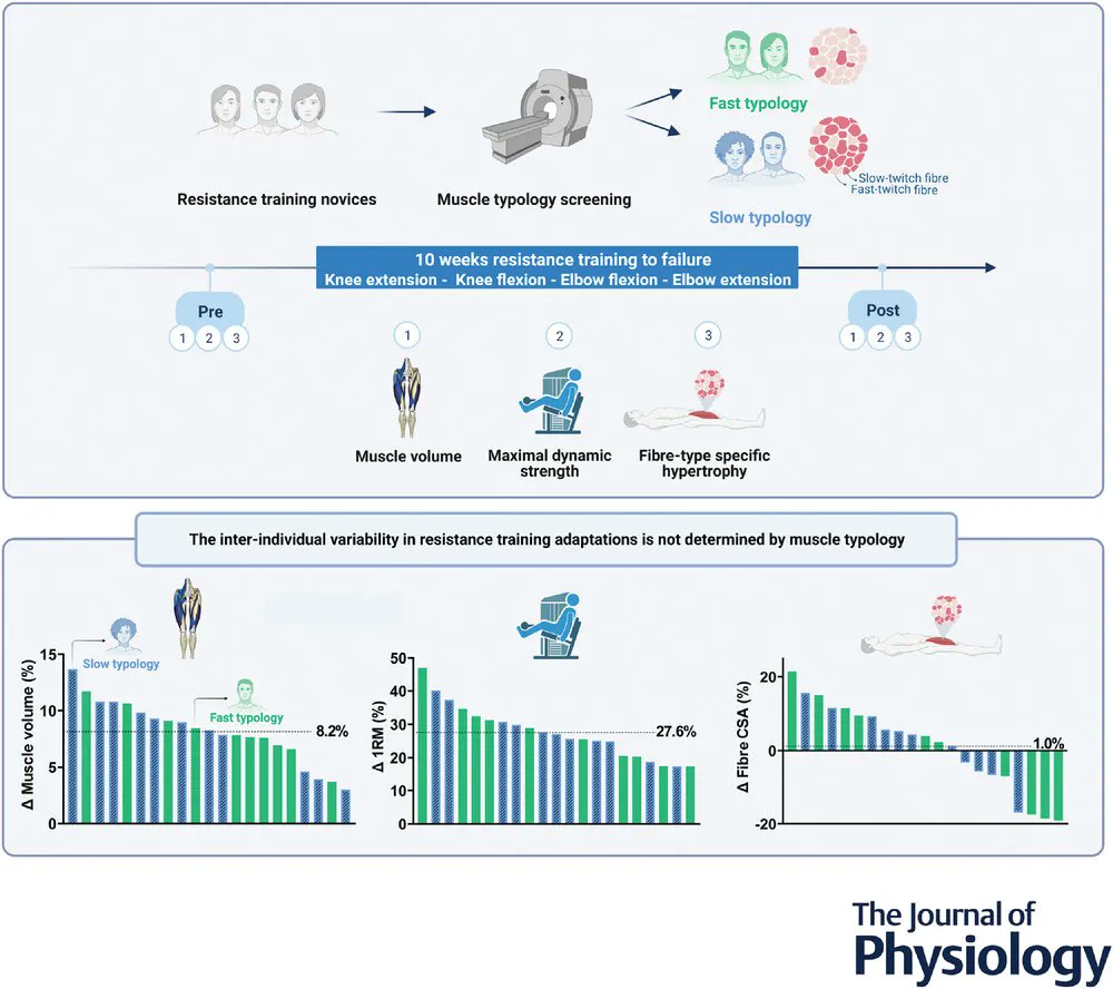 <a href="/KimVanVossel/">Kim Van Vossel</a>, <a href="/HardeelJulie/">雯雯❤营口-(外卖|兼职|核酸)鲅鱼圈,老边区,老边,盖州,大石桥</a>, <a href="/CasteeleFreek/">Freek Van de Casteele</a>, <a href="/ThibauxV/">Thibaux Van der Stede</a>, Weyns, <a href="/JanBoone2906/">Jan Boone</a>, <a href="/eline_lievens/">Eline Lievens</a>, Derave (<a href="/BSW_UGent/">BSW UGent</a>) and Blemker (<a href="/UVABME/">Virginia BME</a>) question if muscle typology can explain the inter-individual variability in resistance training adaptations!
📜buff.ly/3qY0ug8