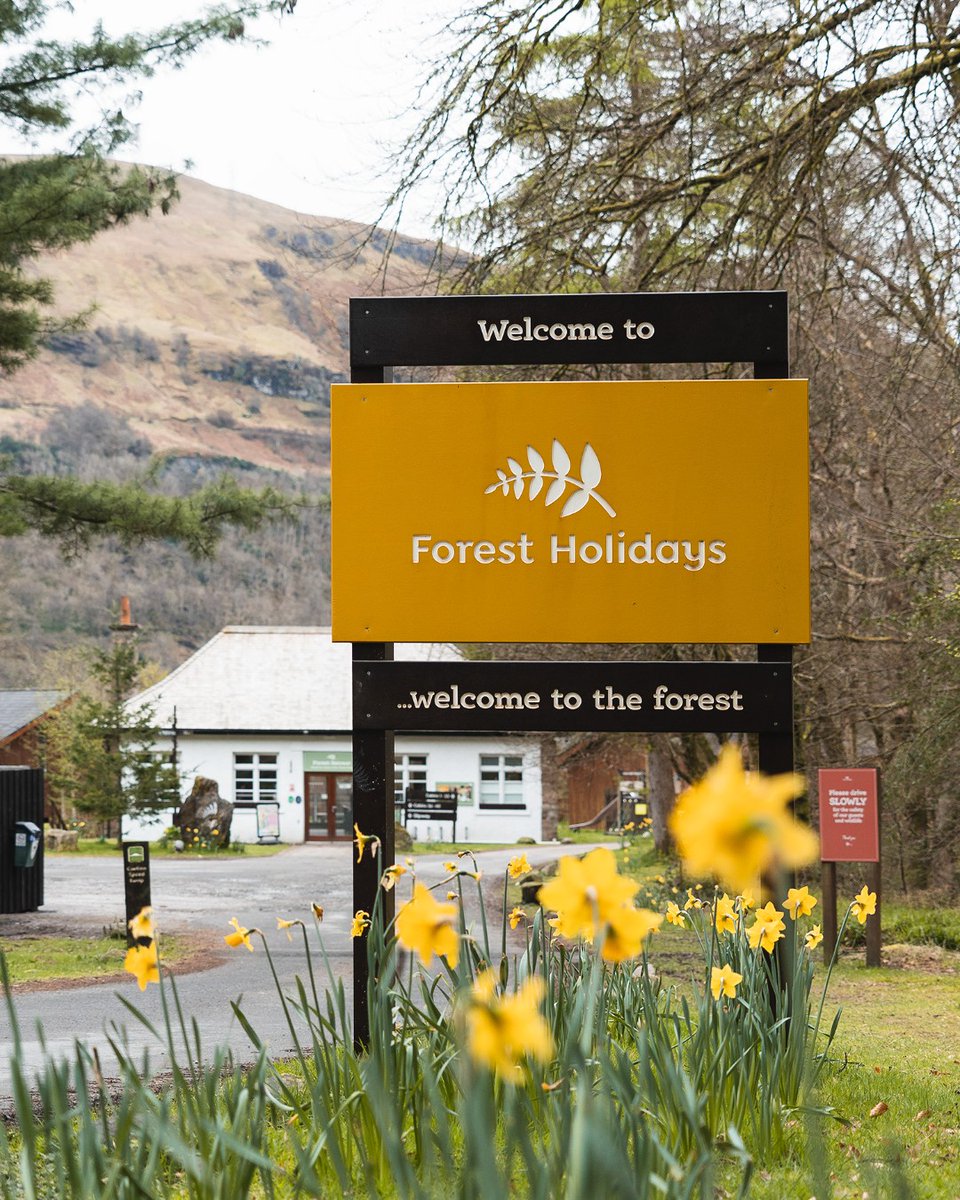 Forest Holidays tweet media