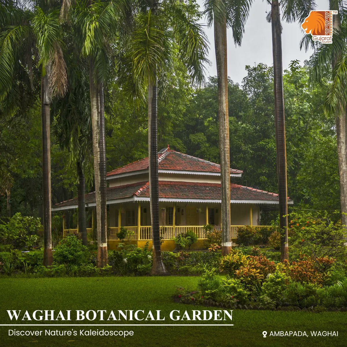 GujaratTourism's tweet photo. Discover the botanical paradise at Waghai Botanical #Garden in Ambapada, Waghai. Its lush greenery, various gardens, a tapestry of vibrant #flora, and tranquil ambiance will reconnect you with the wonders of #nature.

#gujarattourism #gujarat #incredibleindia #monsoon #gardens https://t.co/XfArgdeFc5