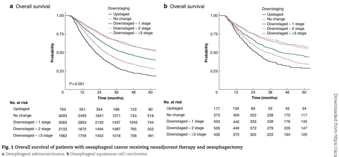 ⤵️Staging w/ neoadjuvant treatment in #esophagealcancer ⤴️survival ‼️
📌NCD 13594 👥
CHT or CRT ➡️🔪
Compared ⤵️Staging adenocarcinoma 11355✖️ SCC 2239
📊Results 
👉downstaged by 1, 2, or 3+ stages 🔛 significantly ⤴️ OS
👉HR for 3+ stage ⤵️staging: 0.40adenocarcinoma & 0.55 SCC…