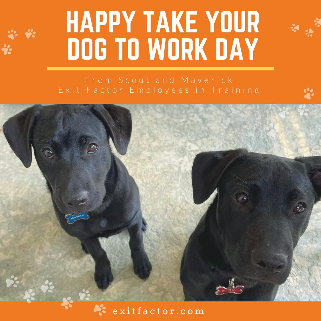 Our newest employees, Scout and Maverick, wish you a very happy Take Your Dog to Work Day! 

#takeyourdogtoworkday #takeyourdogtowork #workdogs #dogs #twindogs #officedogs