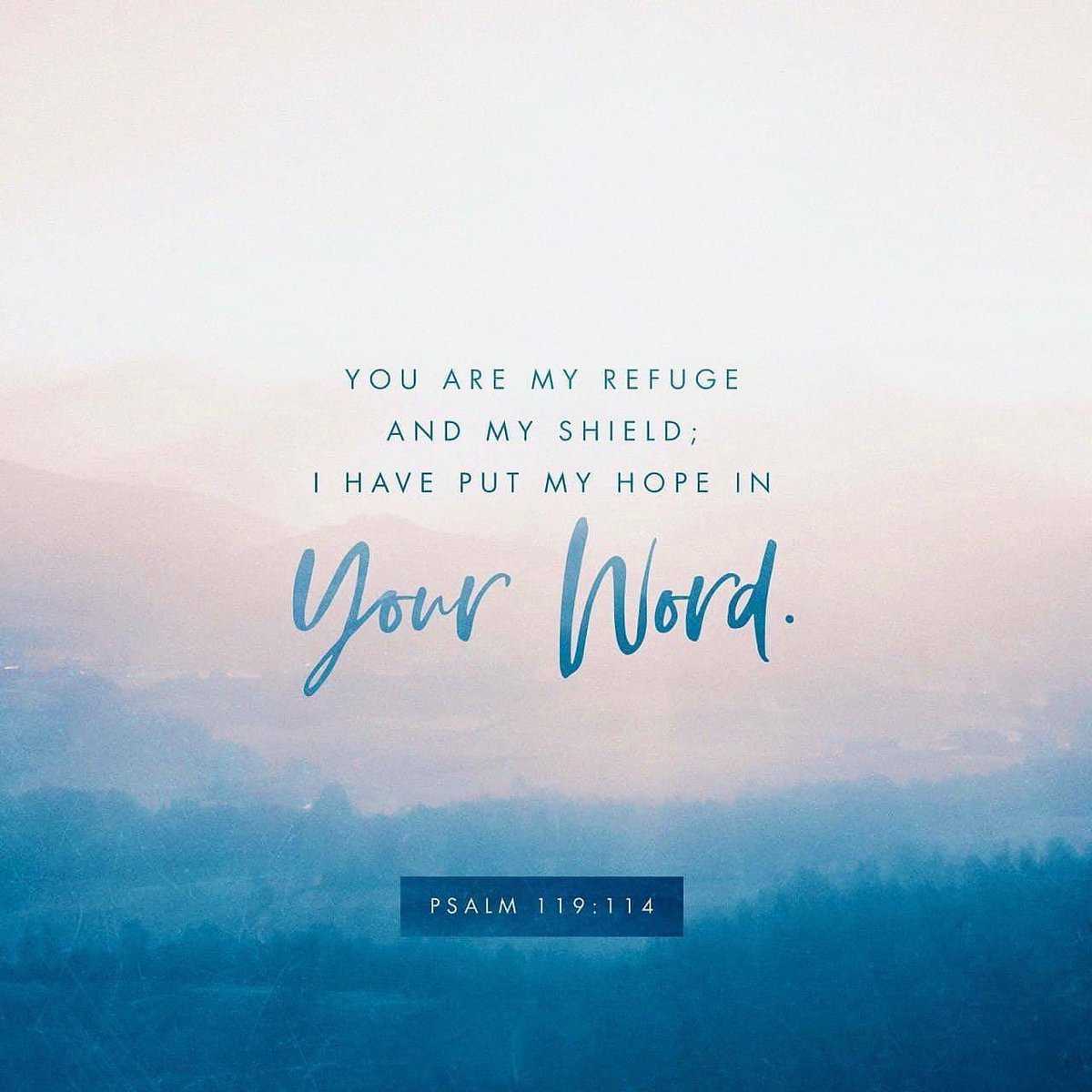 God is my refuge and my shield. I put my hope in Him. ❤
#godismyrefuge #godismyshield #hopeingod #godiswithyou #youversion