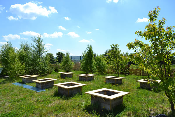 We're delighted to hear that we've been successful in our application for a @LtL_News nature grant! We're looking forward to transforming our outdoor learning area with our brand new planters! #article3 @leightrustb8 @LeighTrustCEO @EHTAlston