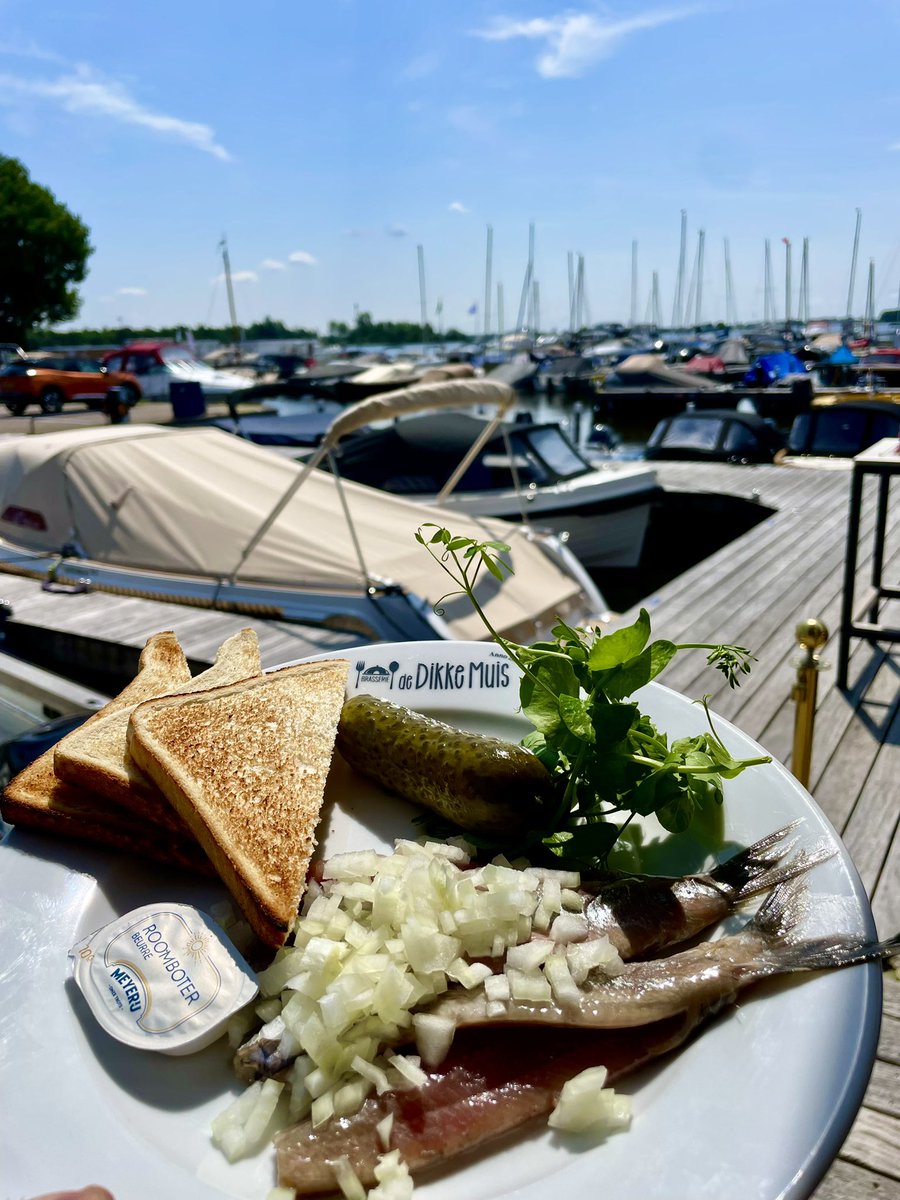 Brasserie de Dikke Muis, echt wel