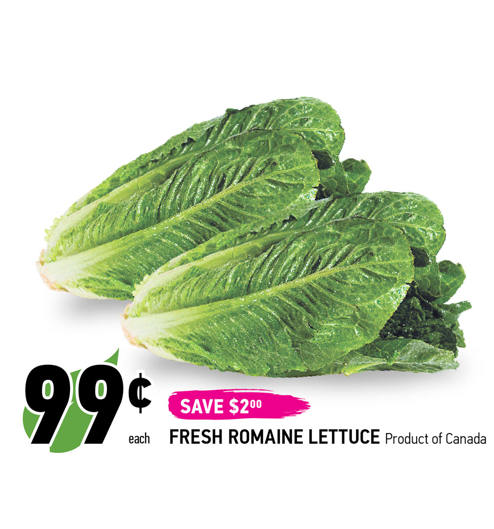 Crisp, vibrant, and oh-so-satisfying, romaine lettuce is a green delight that will make your taste buds dance! Bursting with flavour and packed with nutrients, it's the perfect foundation for your next mouthwatering salad or wrap.