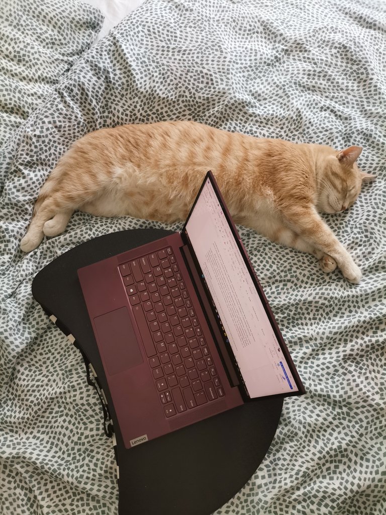 Inspektor lektor spreman za vikend