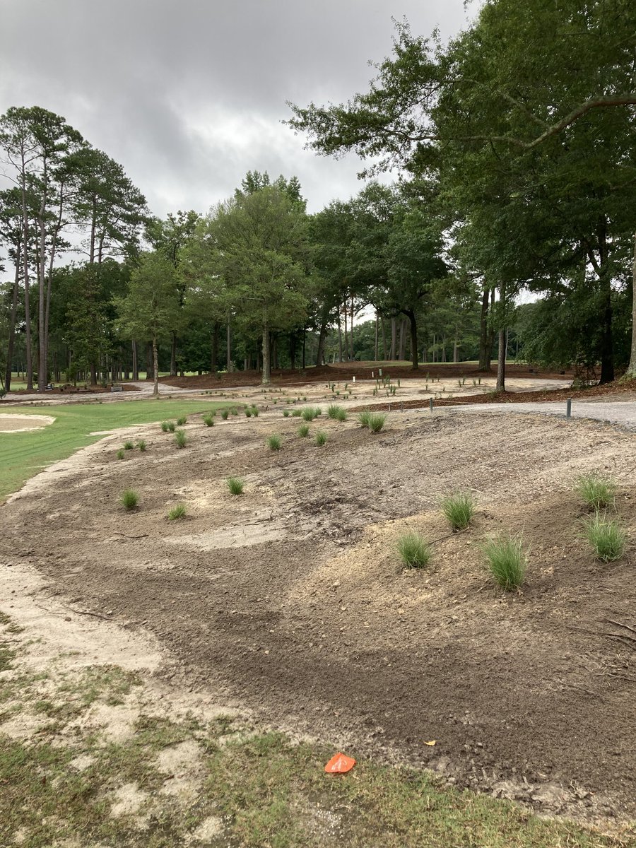 Darlington Country Club Agronomy tweet media