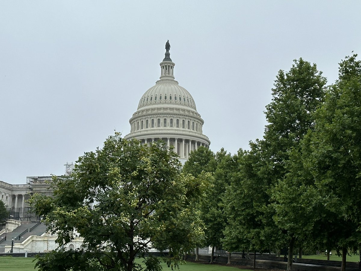 David Westawski tweet media