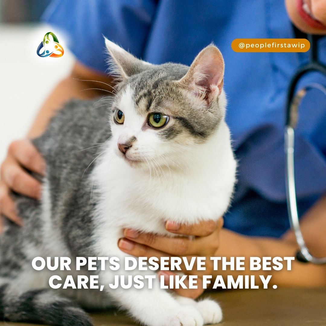 With animal insurance, you can provide your feline companion with the medical attention they need without worrying about the cost. From vaccinations to emergency surgeries, make their health a priority. #AnimalInsurance #CatHealth #CaringForOurPets'