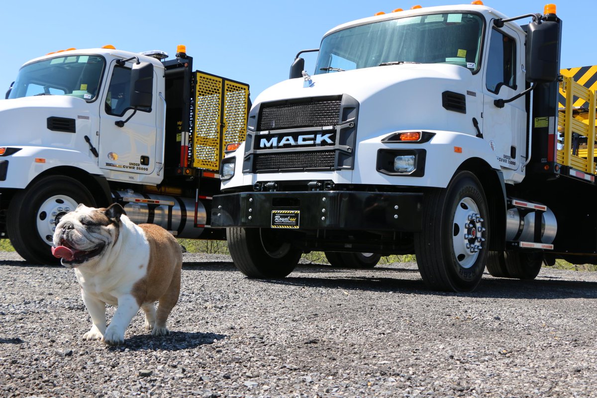 MackTrucks's tweet photo. Calling all dog lovers! It's #TakeYourDogToWorkDay, and at Mack Trucks, we're proud to stand with the @ASPCA in their tireless efforts to create a better world for animals.
#PartnersForTheRide πΎπ€
πΈ: Royal Truck & Equipment, Inc. https://t.co/bnV94QEdhA