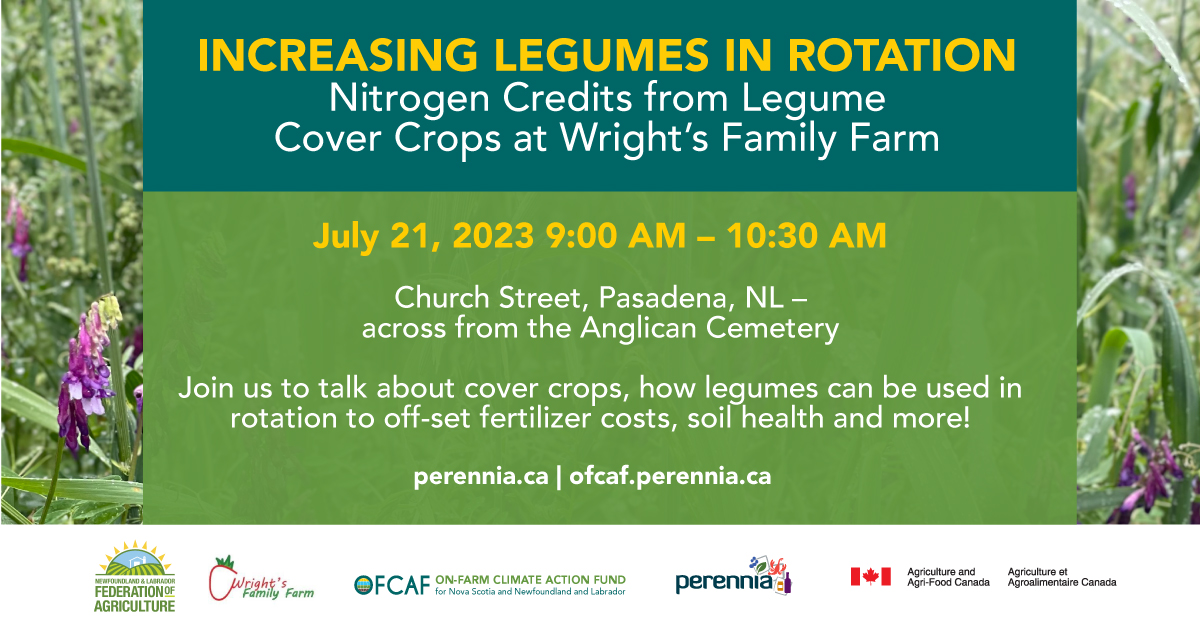 Want to learn more about cover crops, legumes, soil health and #OFCAF_NSNL? 

Register for our upcoming field day @wrightbees in Pasadena, NL, with @NLFarms: perennia.ca/eventer/increa…