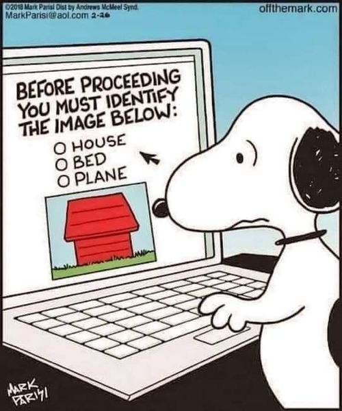 What types of captcha systems do you recommend to clients to ward off form spammers?

#mspmarketing #msp #itbusiness #FridayFunny