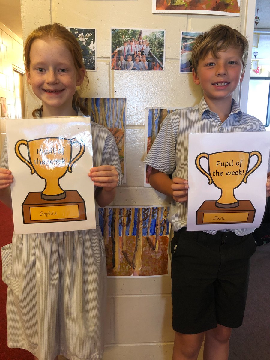 Chafyn Grove School tweet media