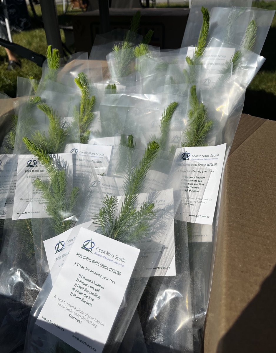Pick up your free seedling from the @_ForestNS booth at the Chester Farmers Market between 9am and 12:30pm! 🌲🌲🌲 Visit ourtrees.ca for more information. #ourtrees