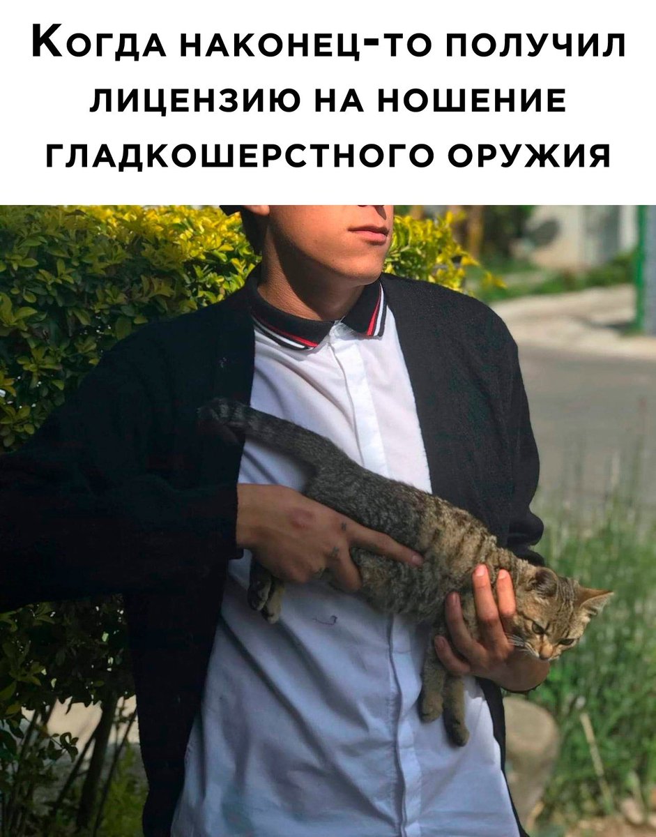 У меня три машины