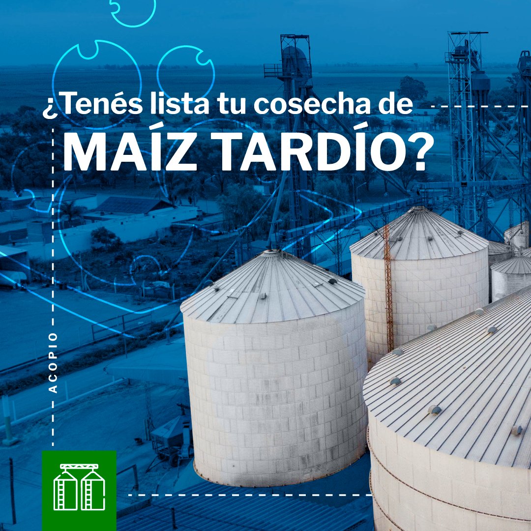OrtegaHermanos's tweet photo. ¿Tu cosecha de maíz ya está lista?🌾, ¡dejala en las manos más capaces! 

Además de ocuparnos del traslado, el acondicionamiento y el #acopio, te ofrecemos atención financiera para que puedas optimizar tus recursos de la mejor manera.

Estamos para vos: https://t.co/T0PYabovsP https://t.co/C8SUW4qZnH