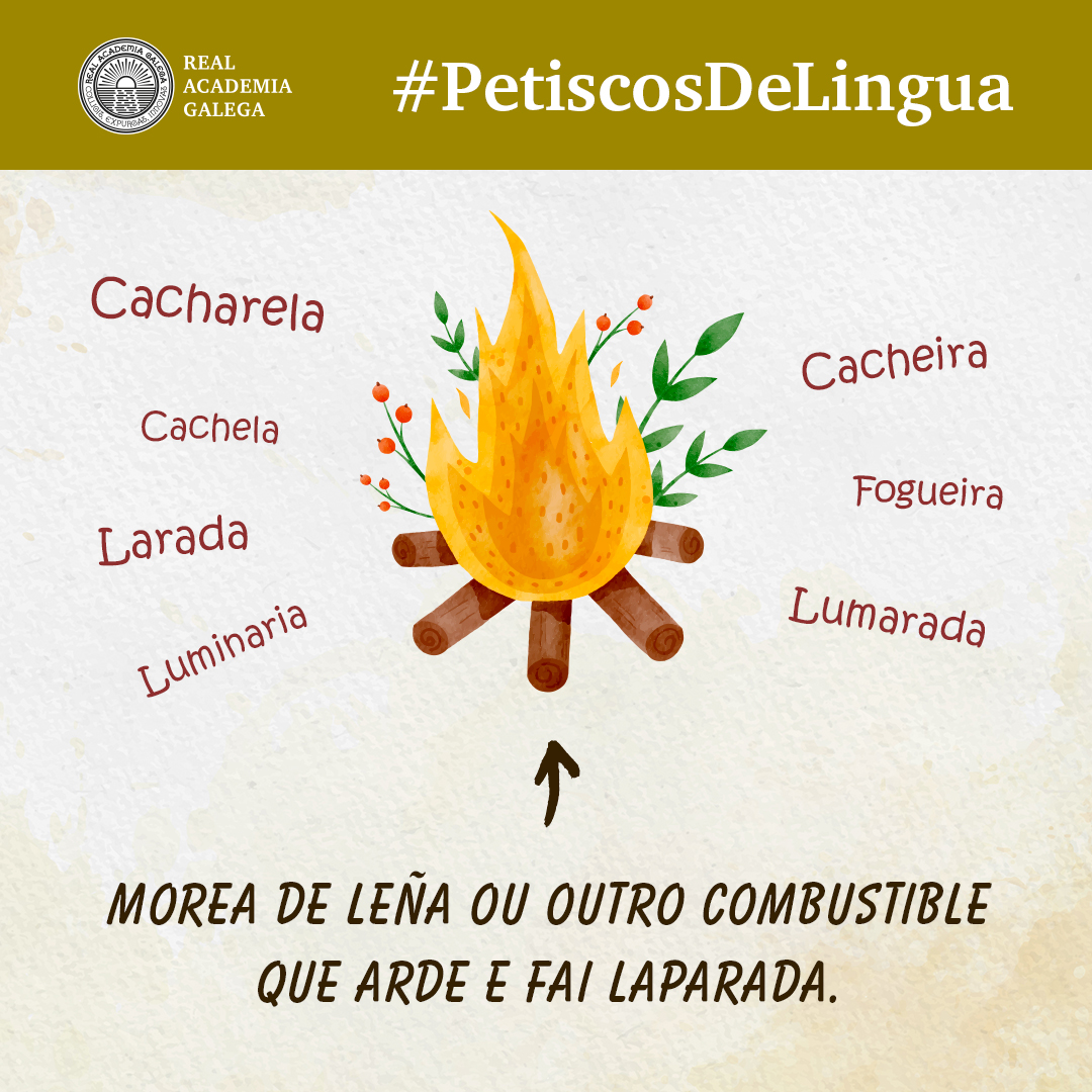 AcademiaGalega's tweet photo. Temos moitas formas de lles chamar. E vós cal empregades?
#sanxoán #sanxoán2023 #cacheira #cachela #fogueira #larada #lumarada #luminaria #PetiscosDeLingua #dicionario
https://t.co/cbnrWpk2Hm https://t.co/hRHsqJ86AA