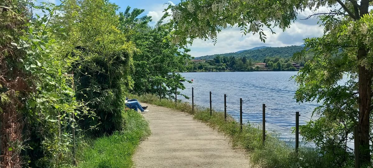 mailchi.mp/a0d41ed4a325/e…