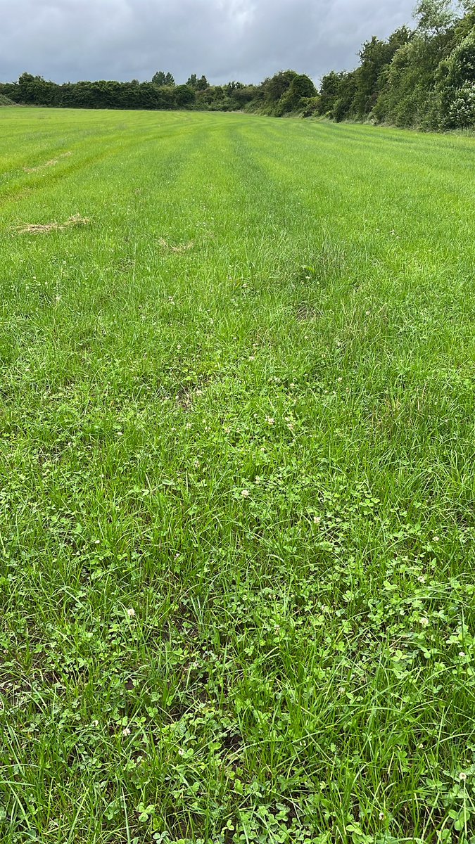 Sean Corby tweet media