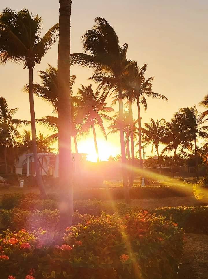 Dawns and sunsets thank you for decorating our landscapes in #ParadisusPrincesadelMar as if you were part of it 🌇
ow.ly/GZAP50OUcyb

#MeliaCuba #CubaTravel #VaraderoTravel #ViveYPunto