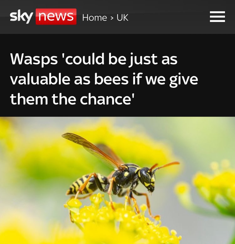 Did a wasp write this?